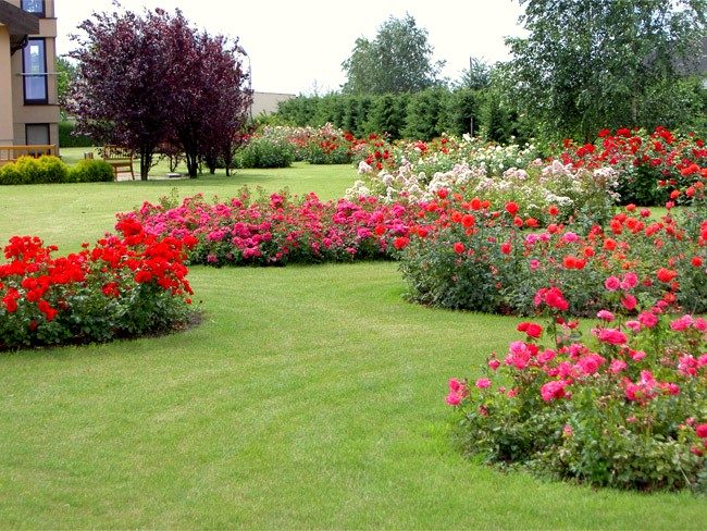 Rosengarten